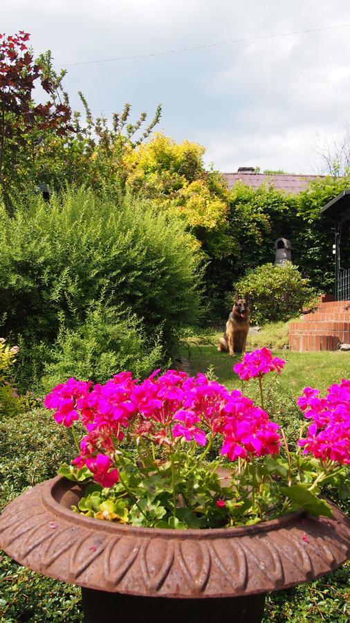 Homestay Akant